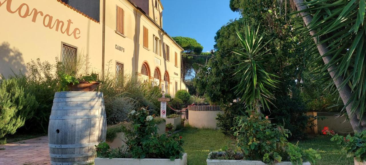 Locanda Menabuoi Donoratico Esterno foto